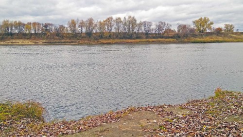 Les_21.10.2020-1.jpg