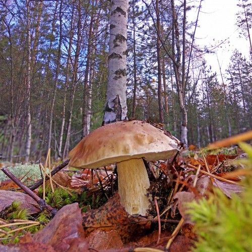 Les_24.10.2020-5.jpg
