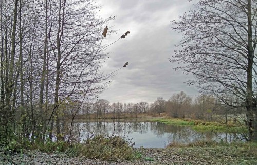 Les_30.10.2020-3.jpg