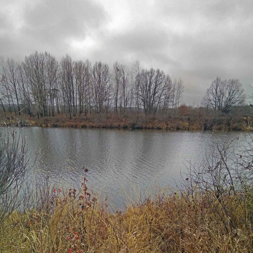 Les_02.11.2020-2.jpg