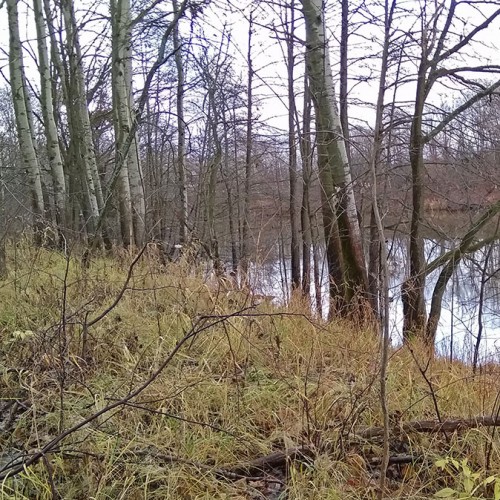Les_07.11.2020-2.jpg