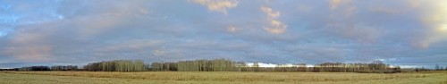 Les_10.11.2020-2.jpg