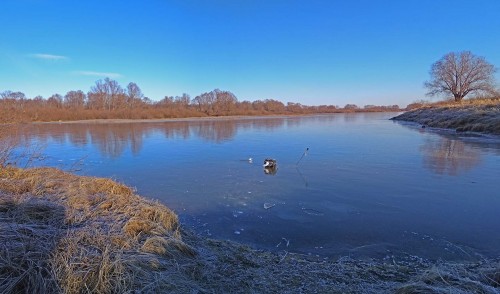 Ryb_17.11.2020-4.jpg