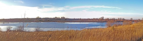 Ryb_18.11.2020-5.jpg