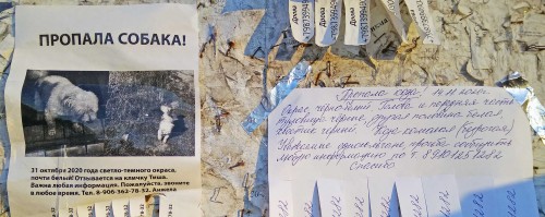 Ryb_18.11.2020-7.jpg