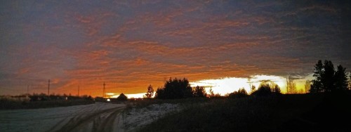 Ryb_20.11.2020-1.jpg