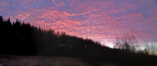 Ryb_20.11.2020-2.jpg