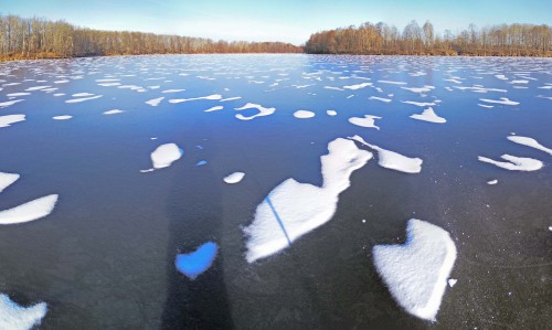 Ryb_20.11.2020-4.jpg