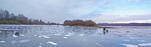 Ryb_22.11.2020-1.jpg