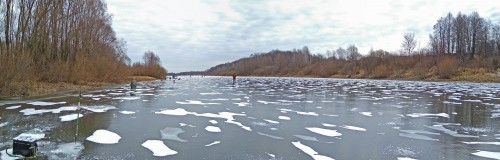 Ryb_22.11.2020-2.jpg