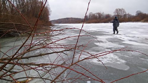 Ryb_24.11.2020-3.jpg