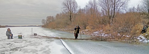 Ryb_26.11.2020-3.jpg