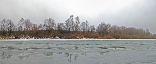 Ryb_28.11.2020-1.jpg