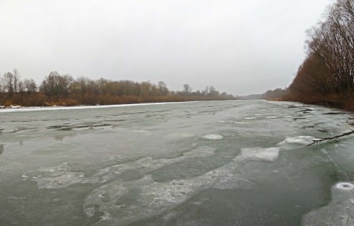 Ryb_28.11.2020-2.jpg