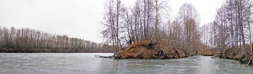 Ryb_30.11.2020-2.jpg