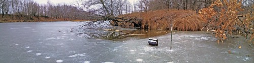Ryb_30.11.2020-3.jpg