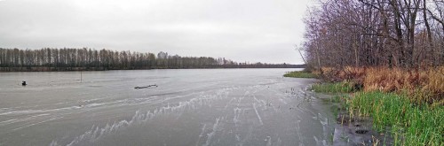 Ryb_30.11.2020-4.jpg