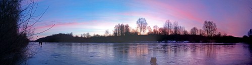 Ryb_01.12.2020-1.jpg