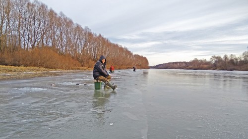 Ryb_01.12.2020-2.jpg