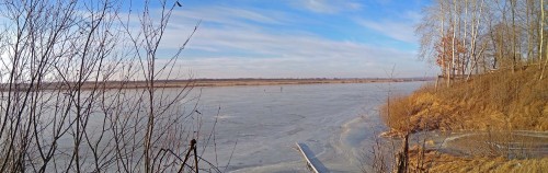 Ryb_03.12.2020-3.jpg