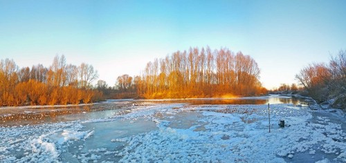 Ryb_09.12.2020-1.jpg