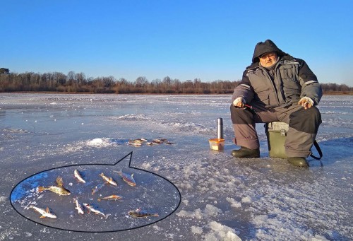 Ryb_10.12.2020-2.jpg