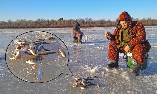 Ryb_10.12.2020-3.jpg