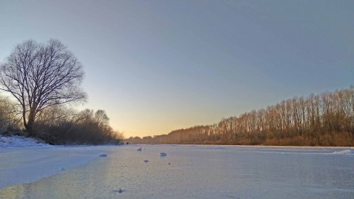 Ryb_12.12.2020-2.jpg