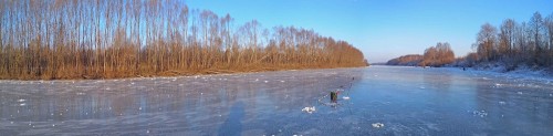 Ryb_12.12.2020-3.jpg