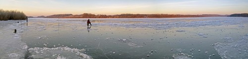 Ryb_13.12.2020-2.jpg