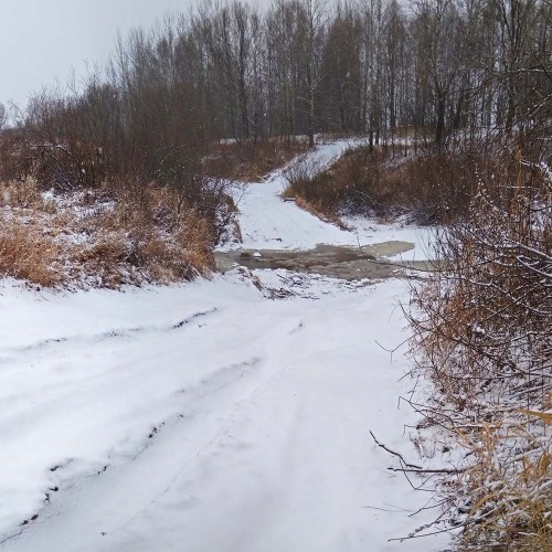 Ryb_15.12.2020-2.jpg