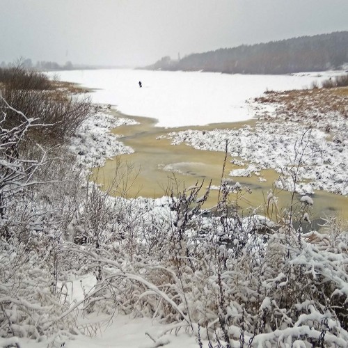 Ryb_15.12.2020-4.jpg