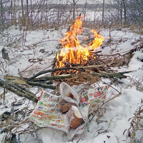 Ryb_17.12.2020-3.jpg