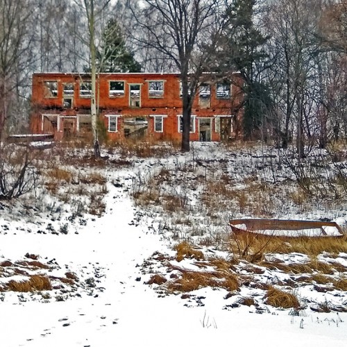 Ryb_18.12.2020-2.jpg