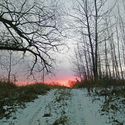 Ryb_19.12.2020-1.jpg