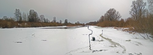Ryb_19.12.2020-4.jpg