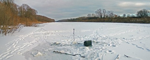 Ryb_21.12.2020-4.jpg