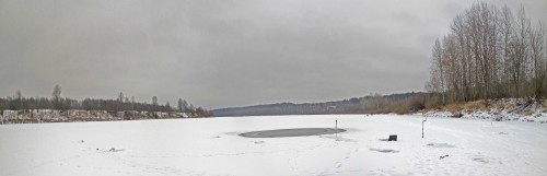 Ryb_23.12.2020-1.jpg