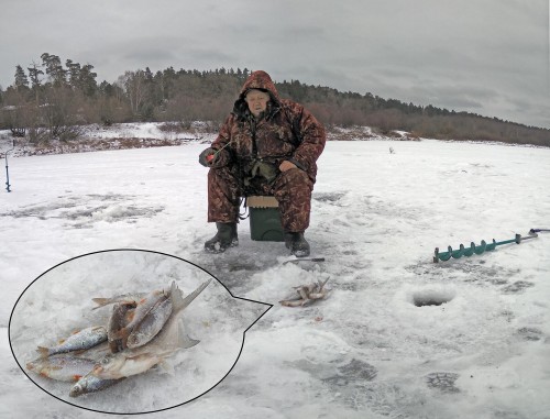 Ryb_23.12.2020-3.jpg