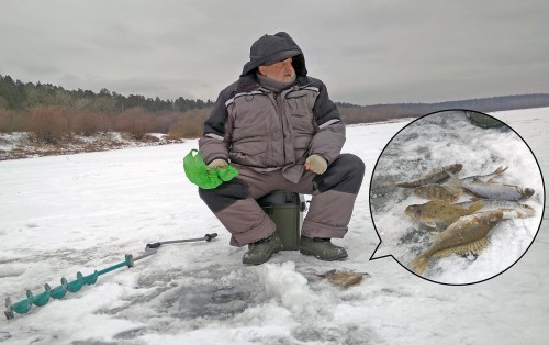 Ryb_23.12.2020-4.jpg
