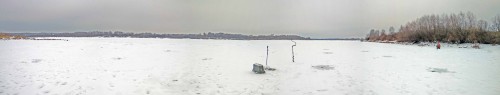 Ryb_24.12.2020-2.jpg