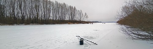 Ryb_24.12.2020-3.jpg