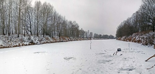 Ryb_24.12.2020-4.jpg