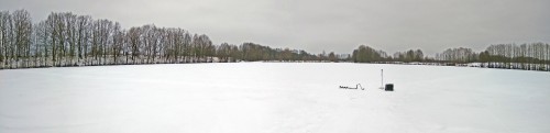 Ryb_24.12.2020-6.jpg