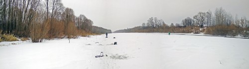 Ryb_26.12.2020-1.jpg