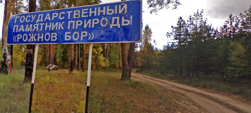 Rozhnov_Bor-5a.jpg