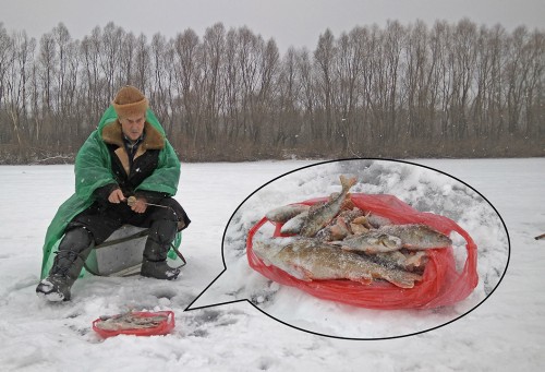 Ryb_26.12.2020-2.jpg