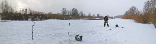 Ryb_28.12.2020-1.jpg