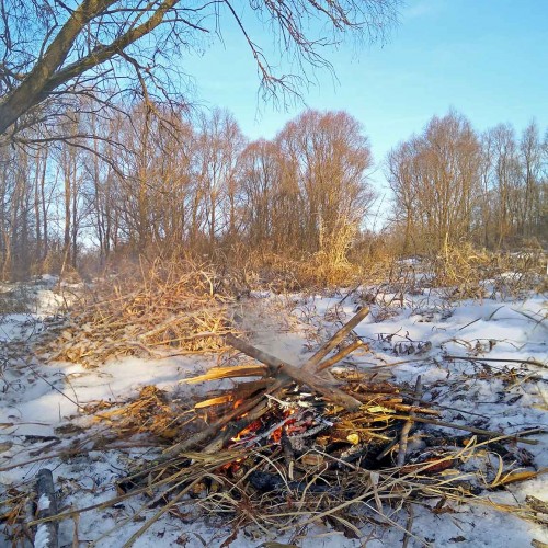 Ryb_28.12.2020-2.jpg