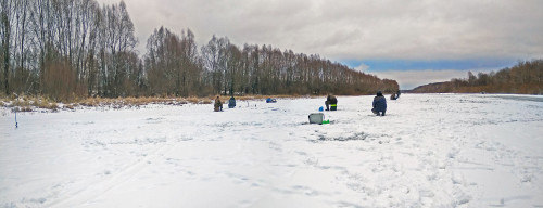 Ryb_03.01.2021-1.jpg